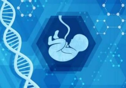 男性精子很少精弱精很难怀孕要吃什么比较好-