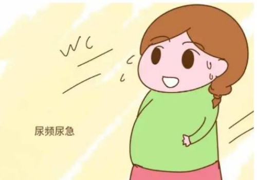 18周胎儿B超结果与发育情况，孕妈妈赶紧收藏！