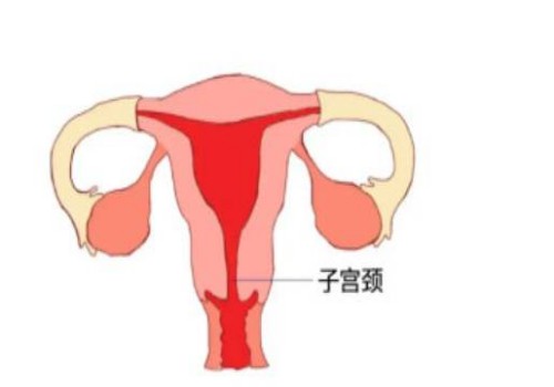 生理性黄疸是怎么回事,生理性黄疸多久能退完